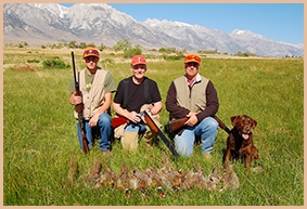 Member Field Access